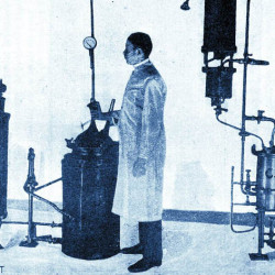 1903_A Sas patika organoterÔÇápiÔÇás laboratTóriuma